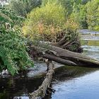 Die Ruhr in Neheim