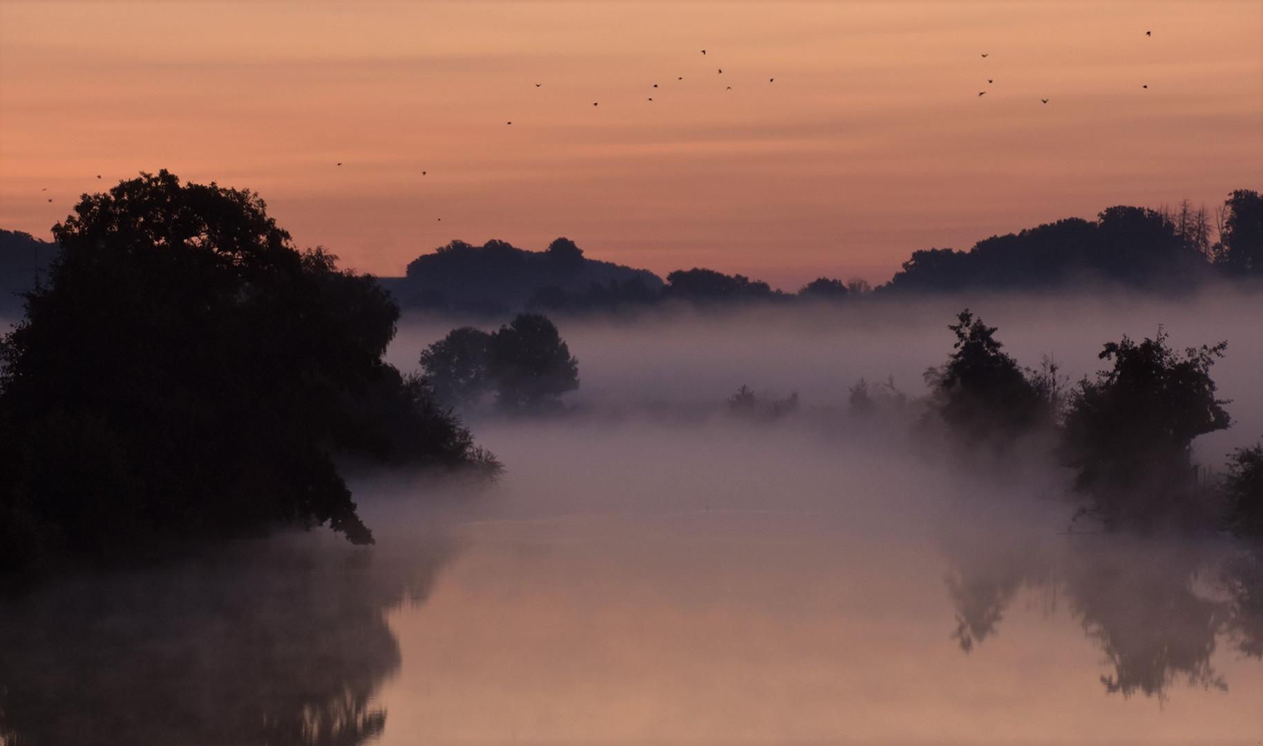 Die Ruhr und der Nebel....