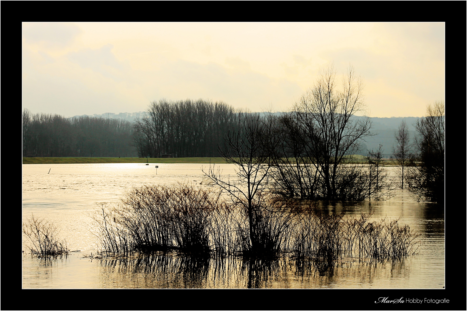 Die Ruhr und ihr Hochwasser