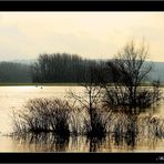 Die Ruhr und ihr Hochwasser