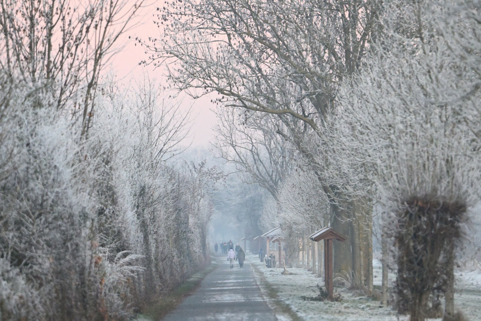 Die Ruhrwiesen in Schwerte spätnachmittags im Winter