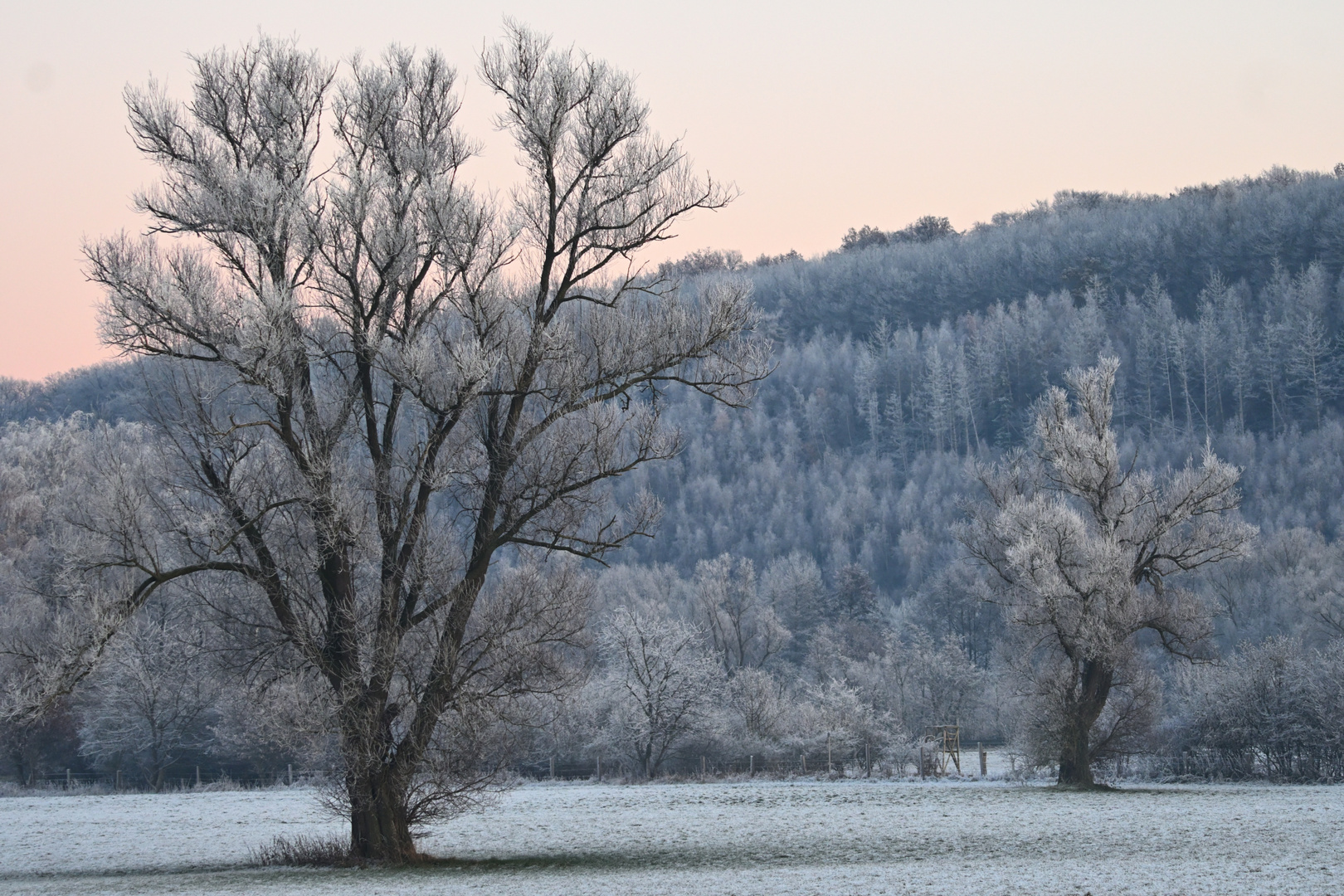 Die Ruhrwiesen in Schwerte spätnachmittags im Winter