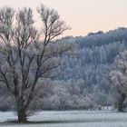 Die Ruhrwiesen in Schwerte spätnachmittags im Winter