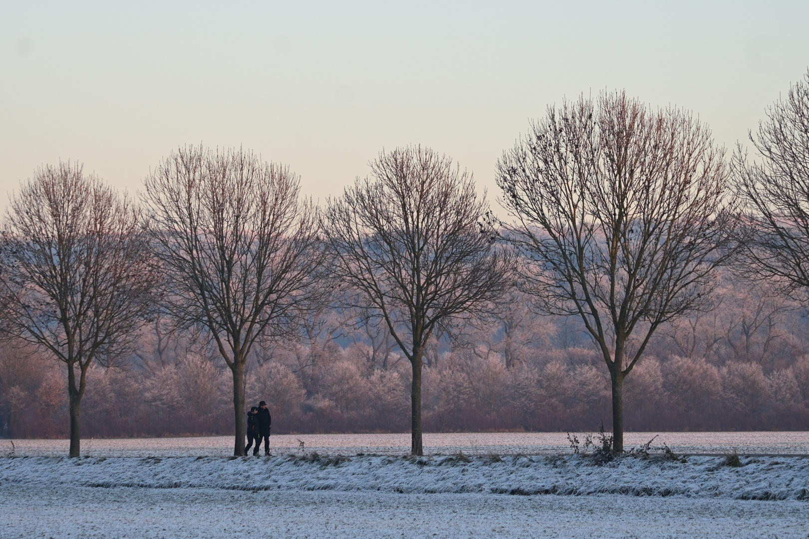 Die Ruhrwiesen in Schwerte spätnachmittags im Winter