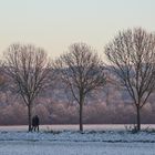 Die Ruhrwiesen in Schwerte spätnachmittags im Winter