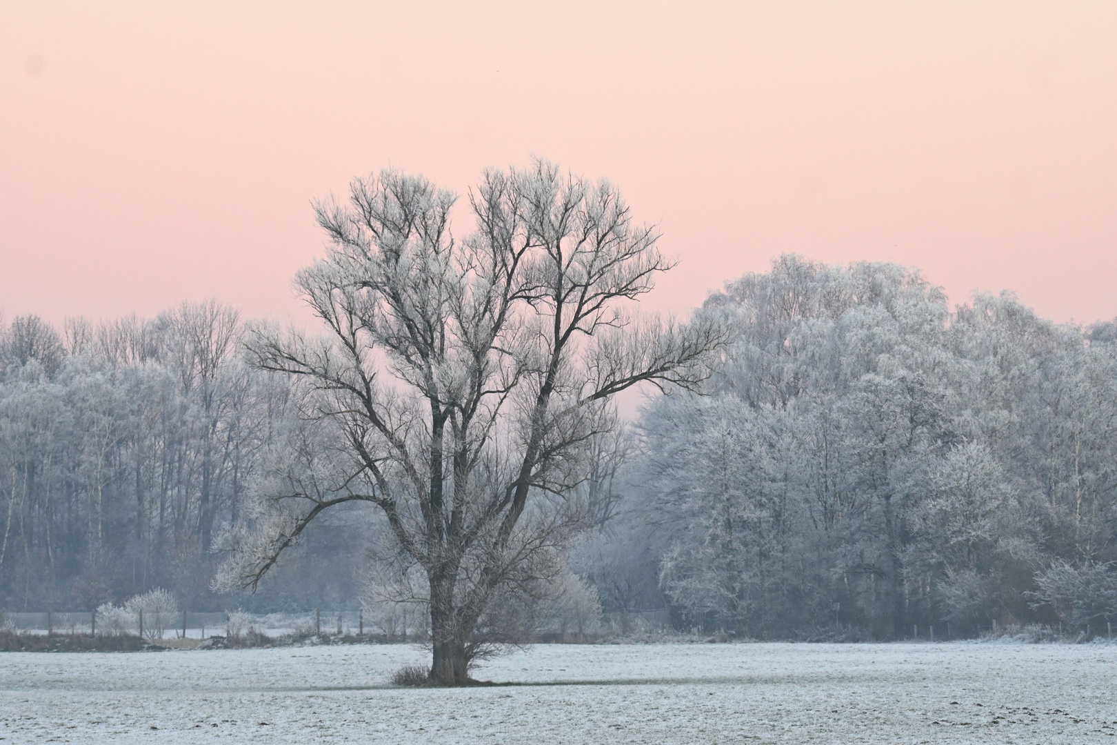 Die Ruhrwiesen in Schwerte spätnachmittags im Winter