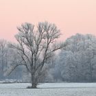 Die Ruhrwiesen in Schwerte spätnachmittags im Winter