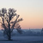 Die Ruhrwiesen in Schwerte spätnachmittags im Winter