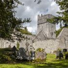 Die Ruine der Muckross Abbey