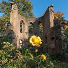 die Ruine des St.-Elisabeth-Hospitals in Marburg