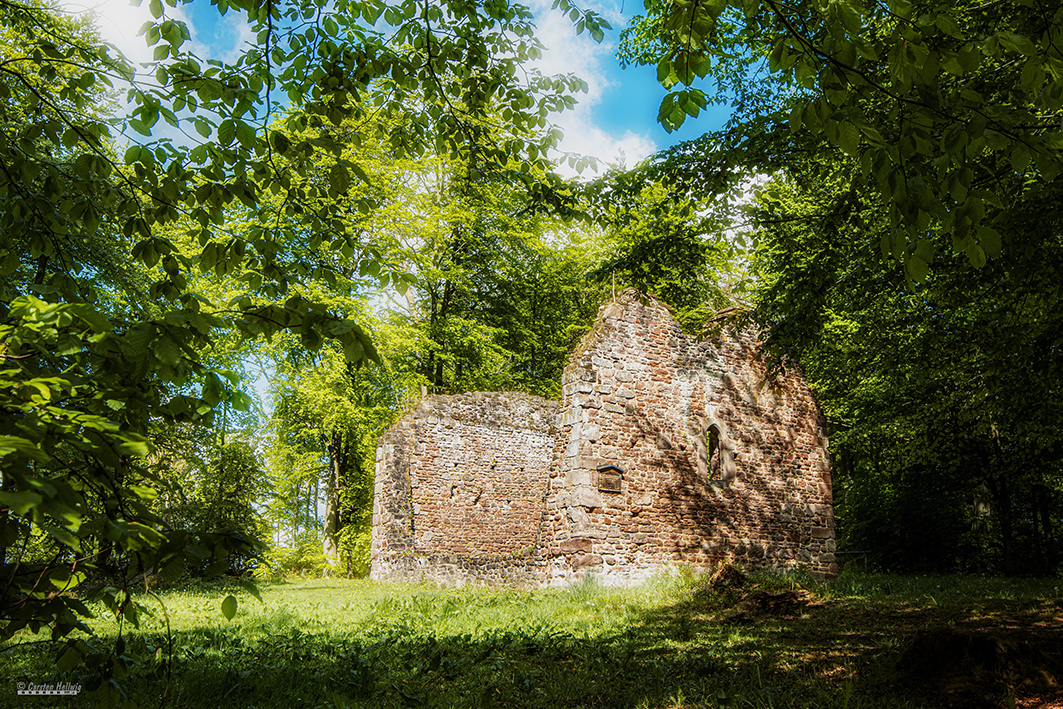 Die Ruine im Wald Foto & Bild outdoor, wiese, kirche Bilder auf