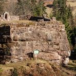 Die Ruine im Wald