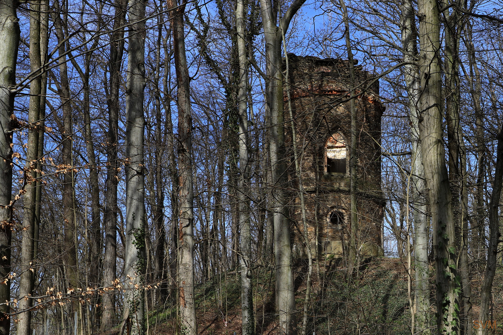 Die Ruine in der Lausker Skala