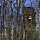 Die Ruine in der Lausker Skala