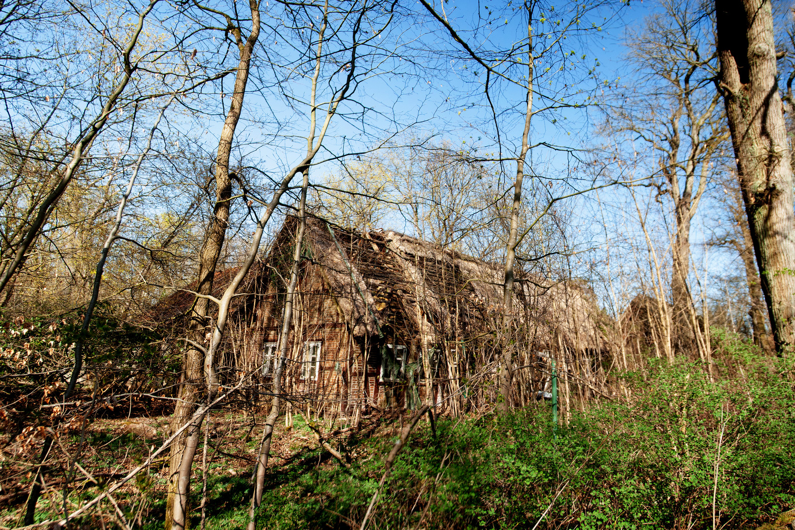 Die Ruine -lange schon verlassen