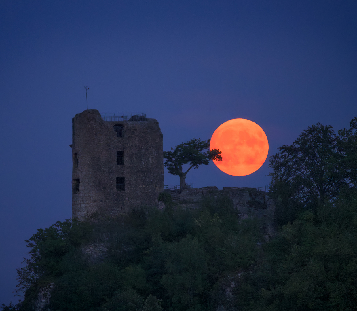 Die Ruine Neideck und der Blaue Supermond