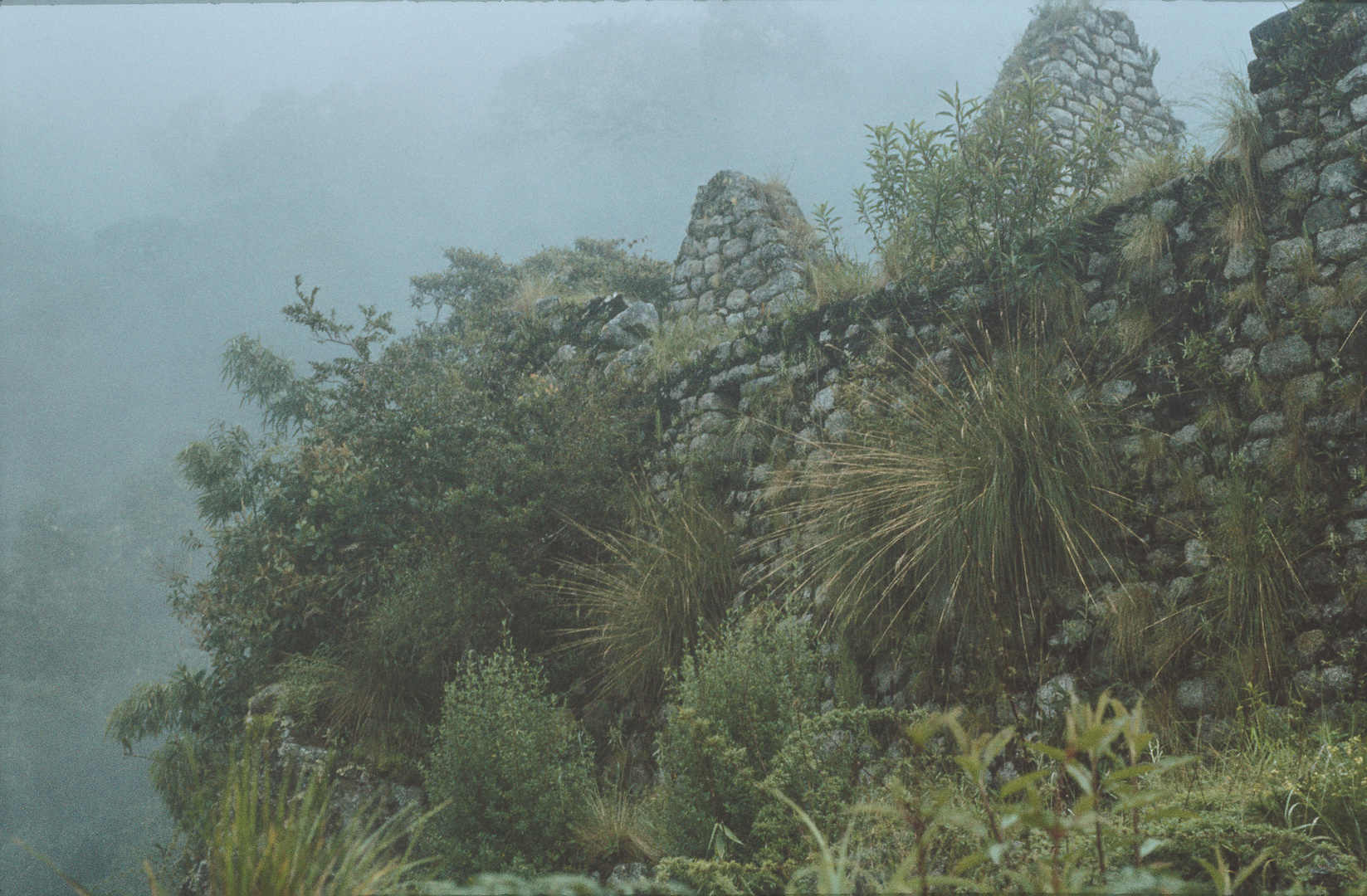 Die Ruine von Winay Wayna im Nebel