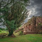 Die Ruinen von San Ignacio Mini, Misiones / Argentinien