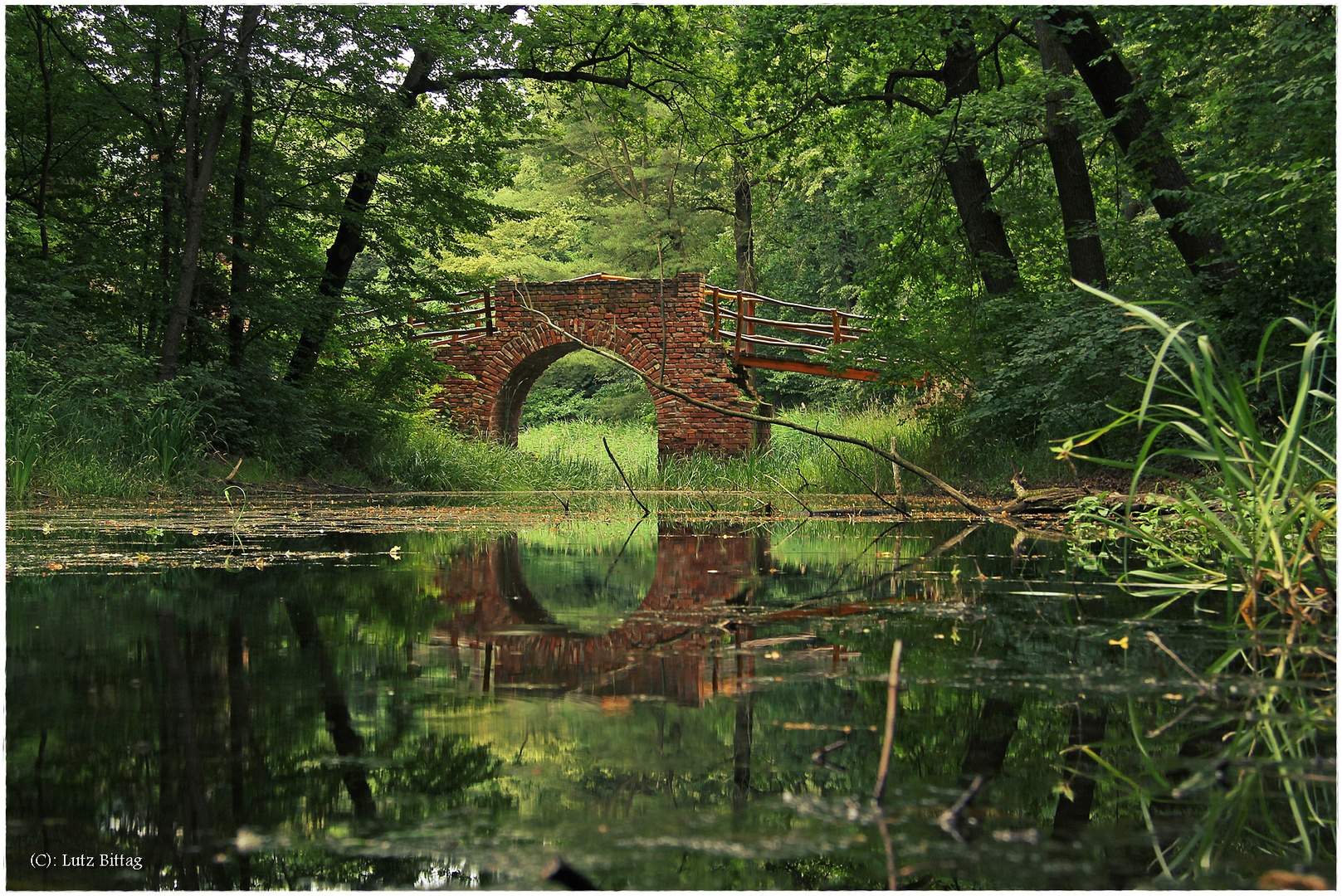 Die Ruinenbrücke im Georgium