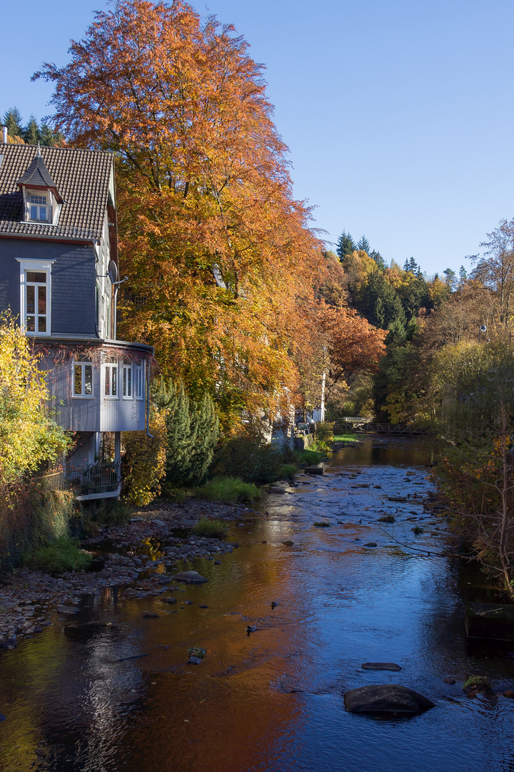 Die Rur im Monschau