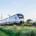 Die S-Bahn Linie 2 von Leipzig nach Dessau