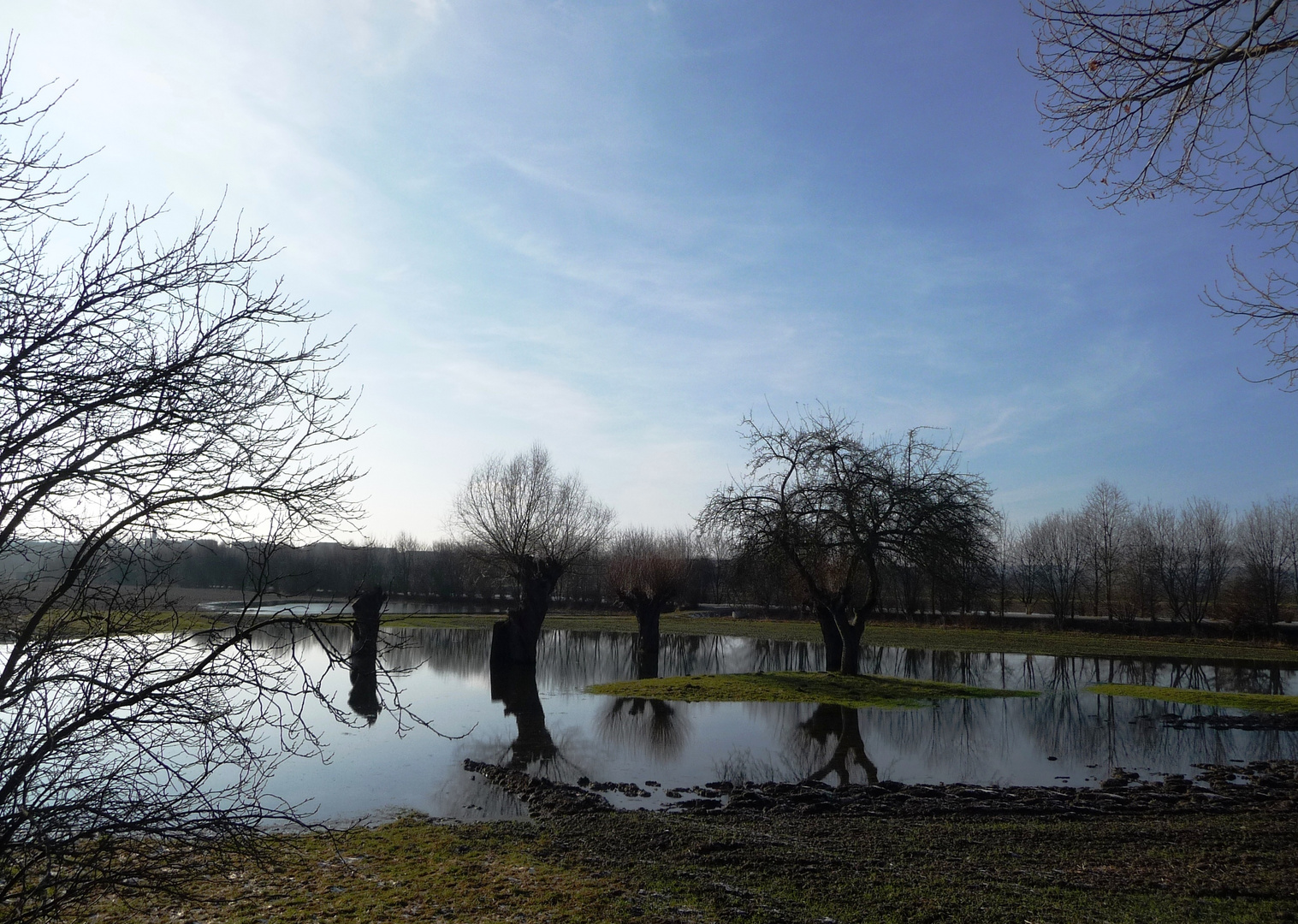 Die Saale bei Hochwasser