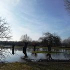 Die Saale bei Hochwasser