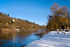 DIe Saale im Blütengrund 02