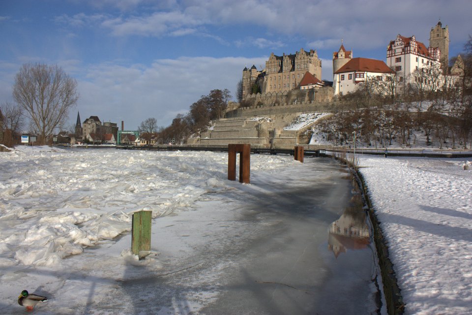 Die Saale im Winter