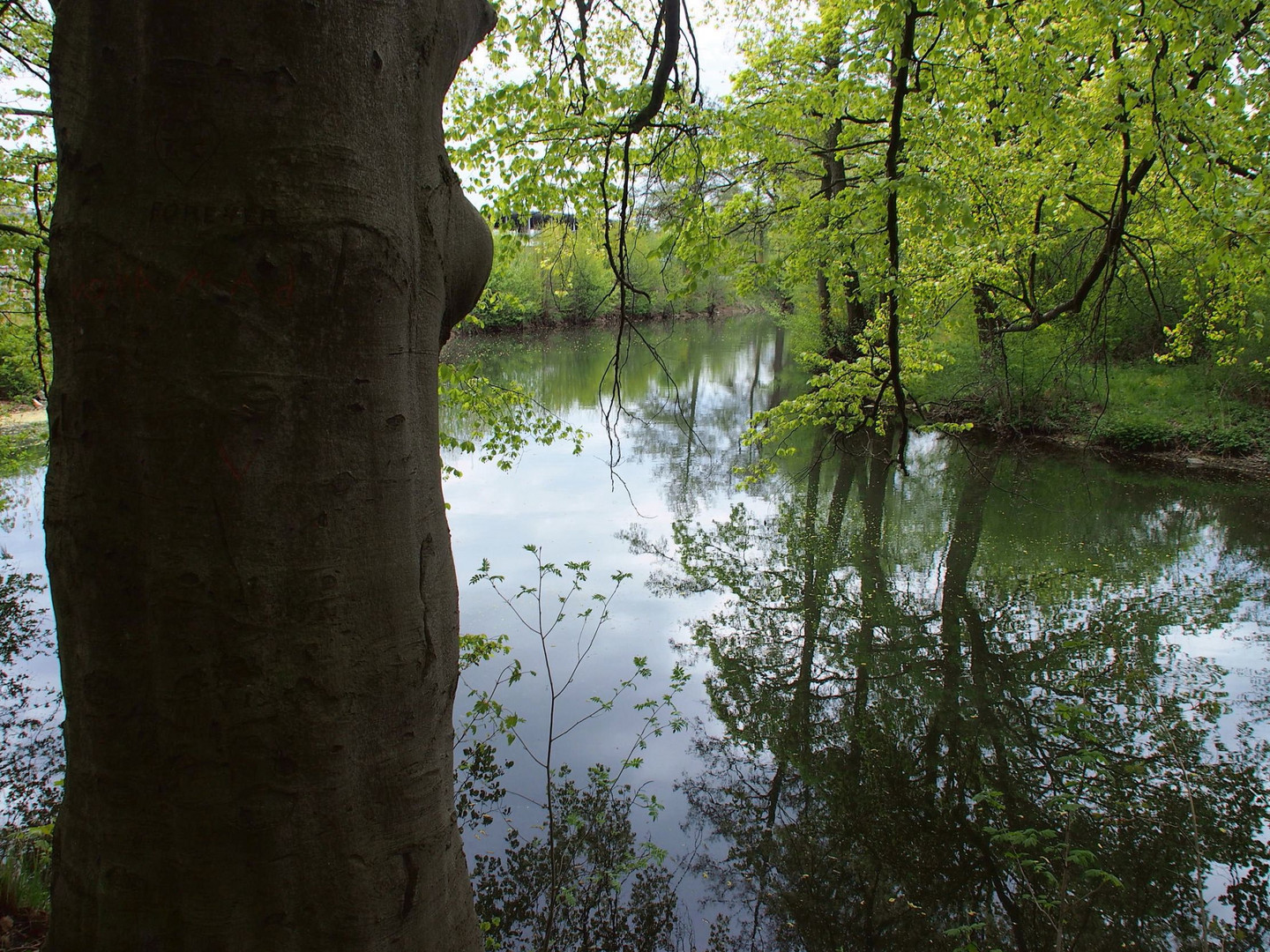 Die Saale in Hof