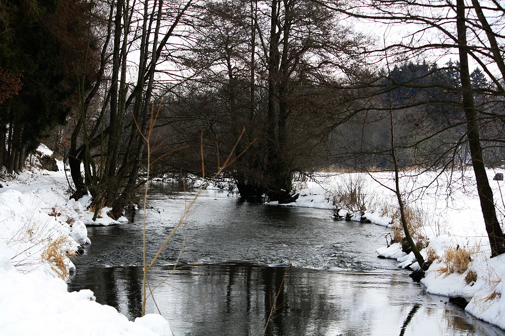 Die Saale noch im Winterschlaf