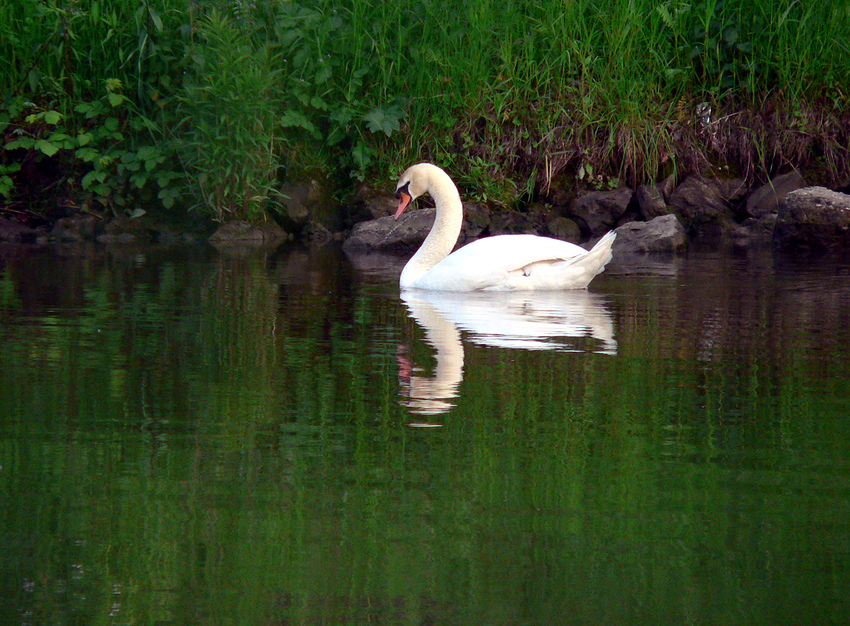 Die Saar blieb friedlich