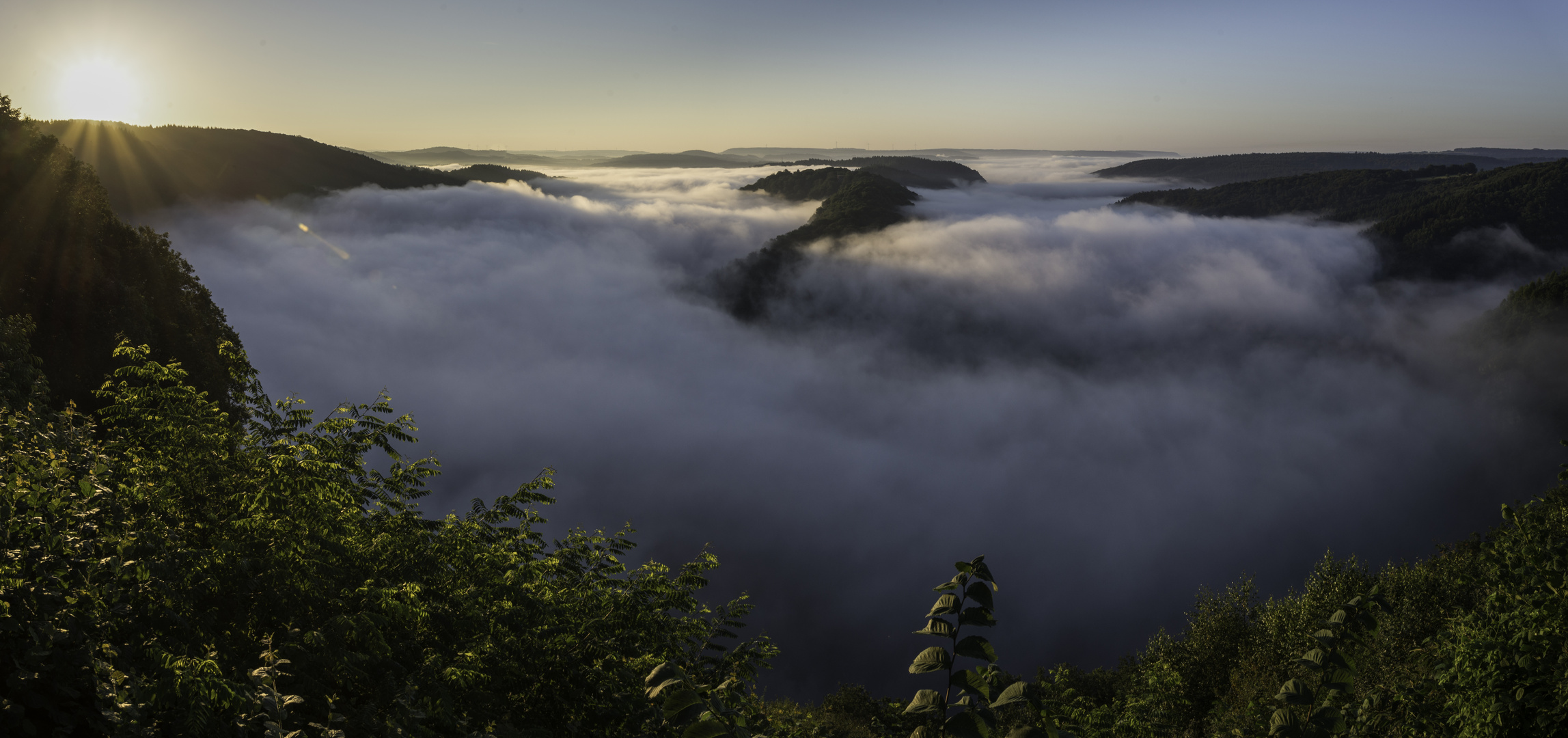 Die Saar im Nebel