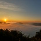 Die Saarschleife bei Sonnenaufgang im Morgennebel