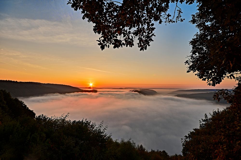 Die Saarschleife bei Sonnenaufgang im Morgennebel