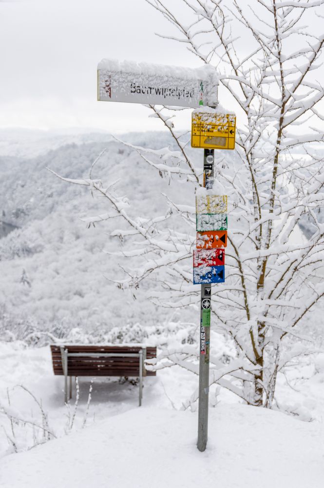 Die Saarschleife im Winter