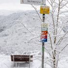 Die Saarschleife im Winter