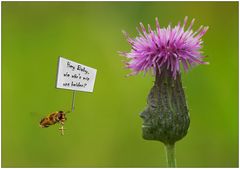 Die Sache mit den Bienchen und den Blümchen...