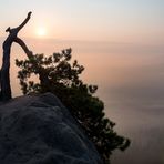 Die Sächsische Schweiz (06:41 Uhr)