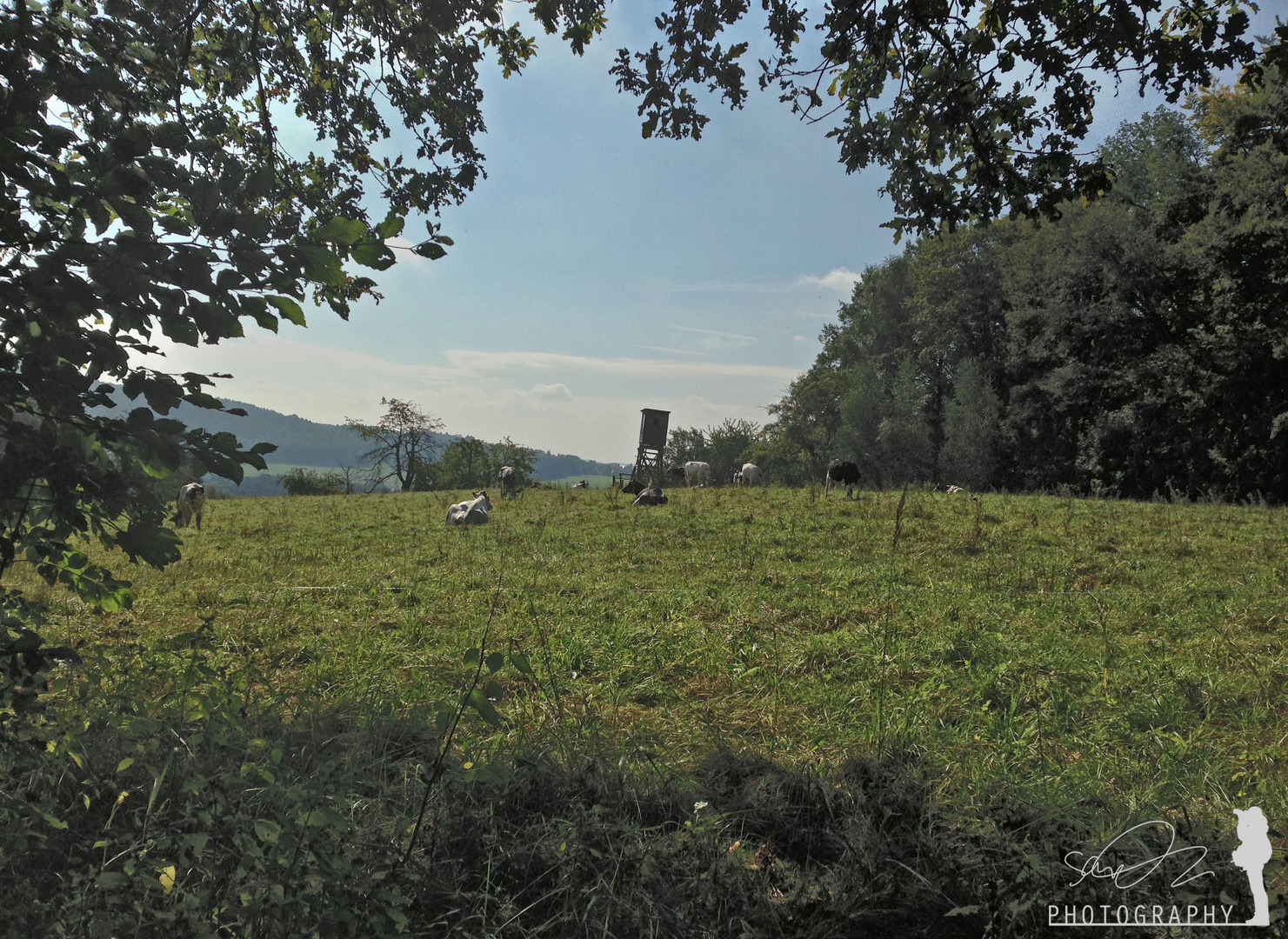 die sächsische Schweiz