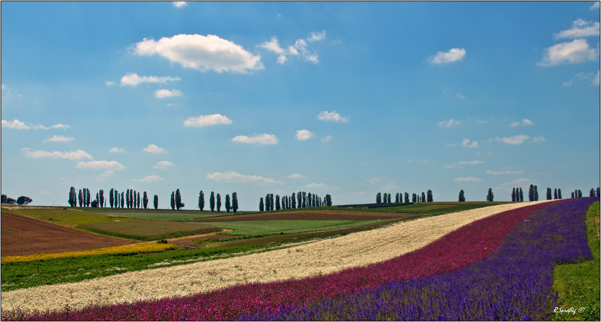 - die "sächsische Toscana" ...-