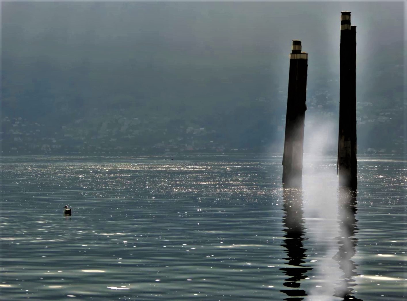 Die Säulen am Lago Maggiore Foto & Bild | europe, schweiz