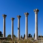 Die Säulen des Apollon-Tempels