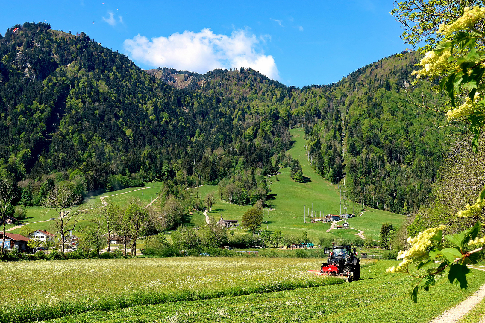 Die saftigen Wiesen müssen dem Messer weichen