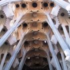 Die Sagrada Familia bietet 1000 Perspektiven