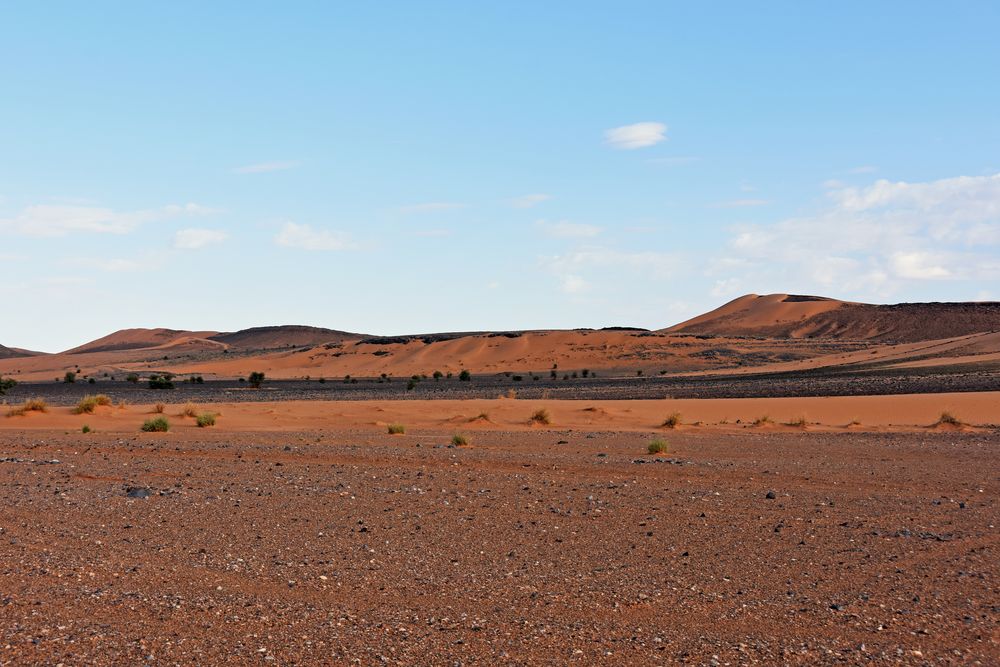 Die Sahara bei Tafraout Hassi Fougani im Süden Marokkos