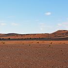 Die Sahara bei Tafraout Hassi Fougani im Süden Marokkos