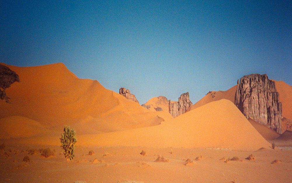 Die Sahara