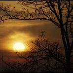 Die Sahara lässt Grüßen! oder: Sandwolken bei Sonnenaufgang