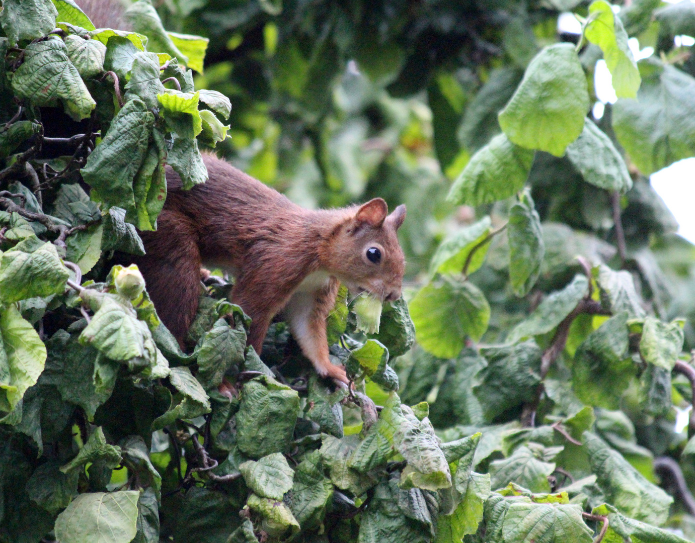 Die Saison ist eröffnet ;-)) Foto & Bild | tiere, wildlife, wildlife: sonstige tiere Bilder auf ...
